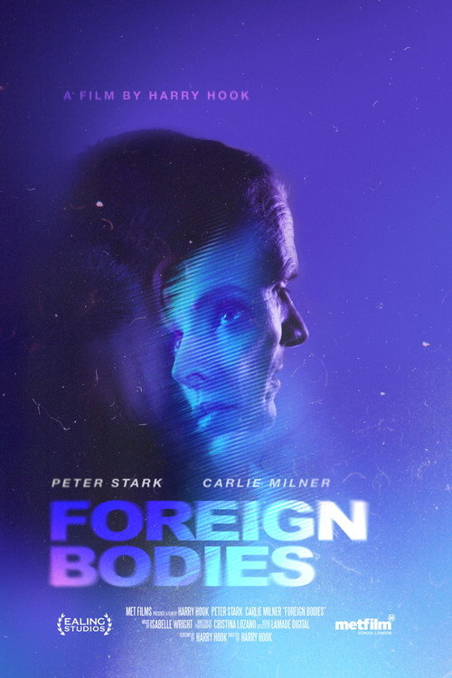 Movie poster for Foreign Bodies (2022)