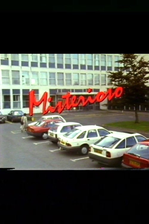 Movie poster for Misterioso (1991)