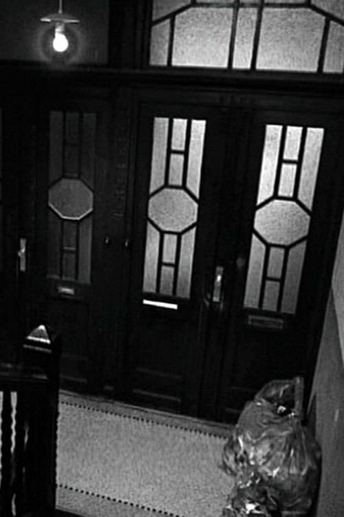 Movie poster for The Neighbor (2008)
