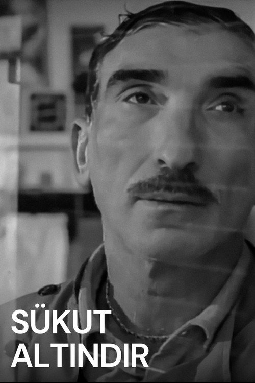 Movie poster for Il Silenzio è d'Oro (2002)