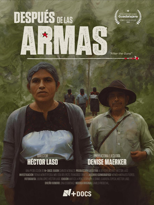 Movie poster for Después de las armas (2024)