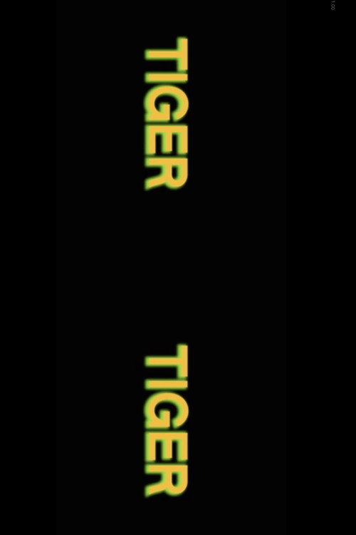 Movie poster for Tiger Tiger (2023)