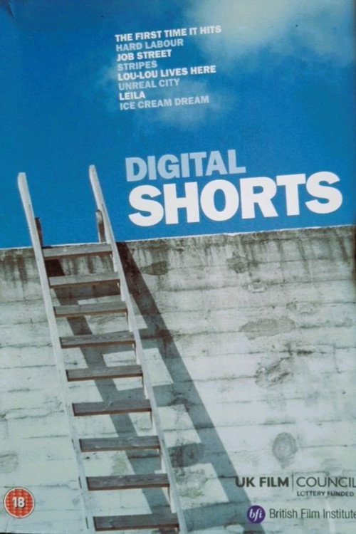 Movie poster for Job Street (2005)