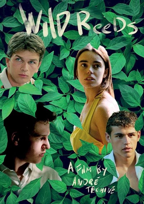 Movie poster for Wild Reeds (1994)