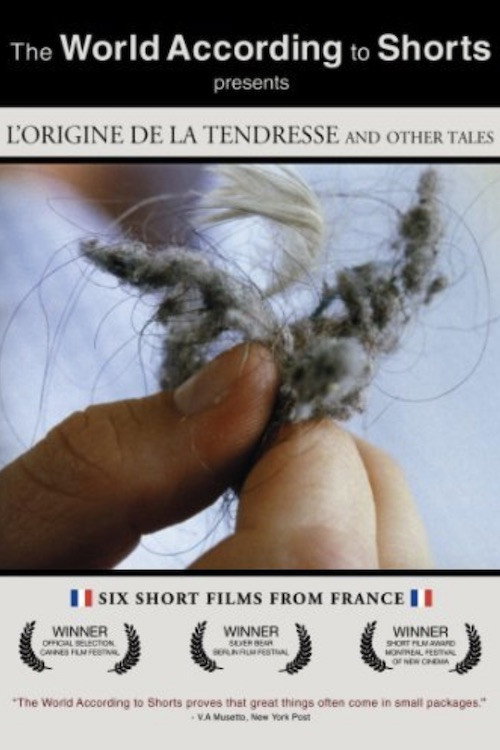 Movie poster for L'origine de la tendresse (1999)