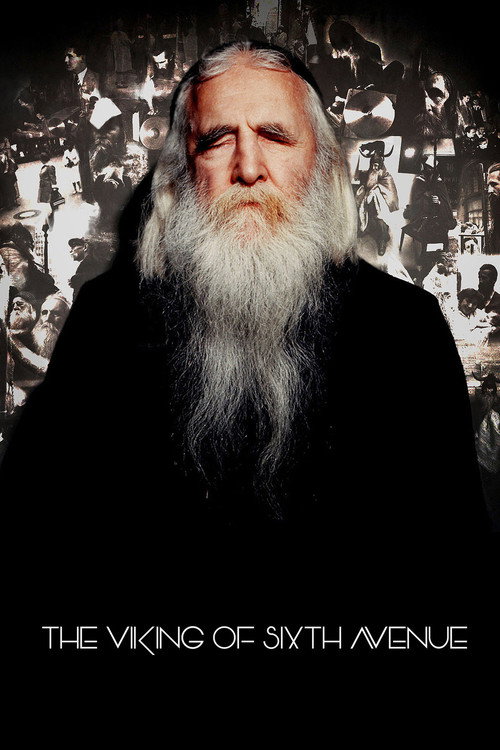 Movie poster for The Viking of Sixth Avenue (2015)