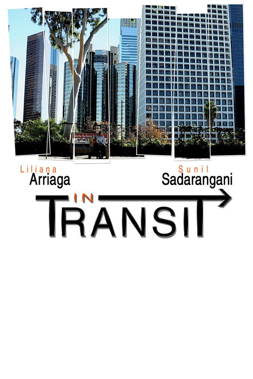 Movie poster for In Transit (2012)