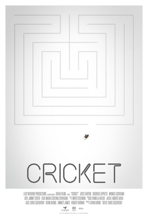 Movie poster for Cricket (2021)
