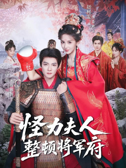 Series poster for 怪力夫人整顿将军府 (2025)