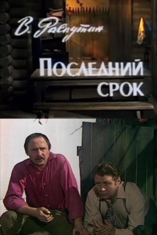 Movie poster for The Last Term (1981)
