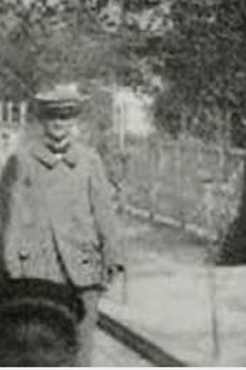 Movie poster for Panorama of the Moving Boardwalk (1900)