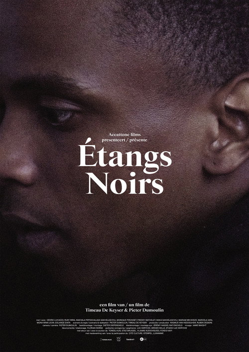Movie poster for Étangs Noirs (2018)