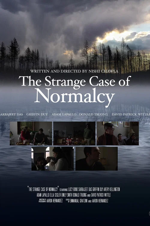 Movie poster for The Strange Case for Normalcy (2023)