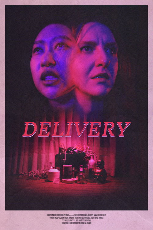 Movie poster for Delivery (2024)
