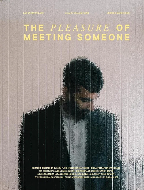 Movie poster for The Pleasure of Meeting Someone (2023)