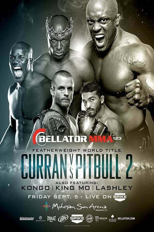 Movie poster for Bellator 123 (2014)
