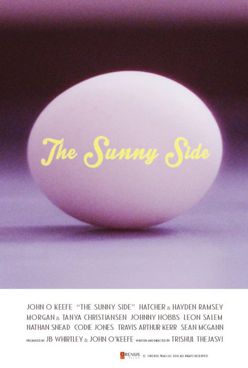 Movie poster for The Sunny Side (2014)