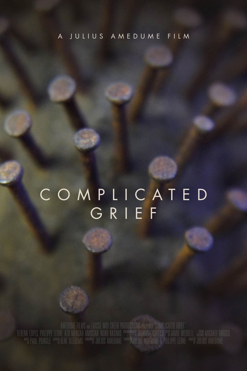 Movie poster for Complicated Grief (2025)