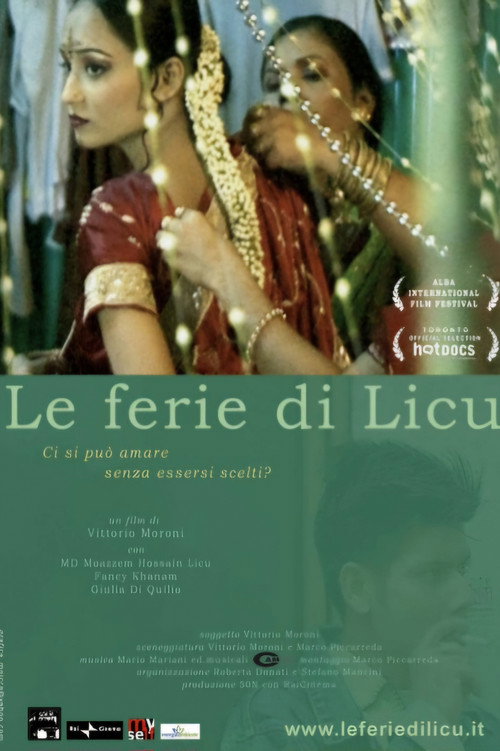 Movie poster for Licu's holidays (2007)