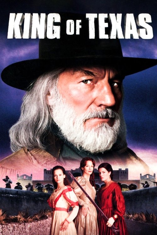 Movie poster for King of Texas (2002)