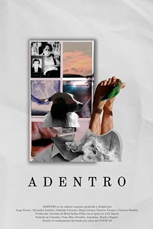 Movie poster for Adentro (2021)