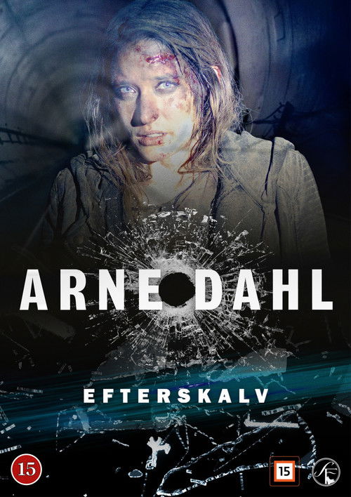 Movie poster for Arne Dahl 09 - Afterquake (2015)