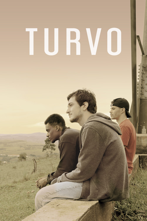 Movie poster for Turvo (2021)