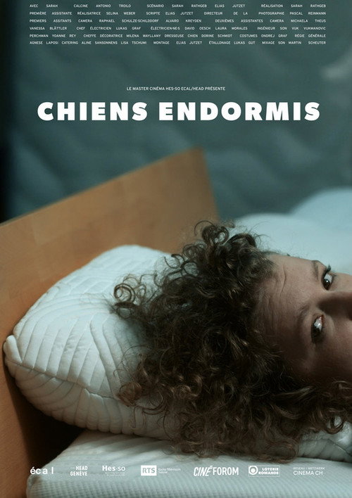 Movie poster for Chiens endormis (2020)