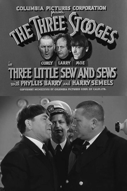 Movie poster for Three Little Sew and Sews (1939)