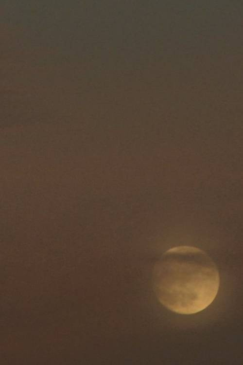Movie poster for Two Moons (2019)