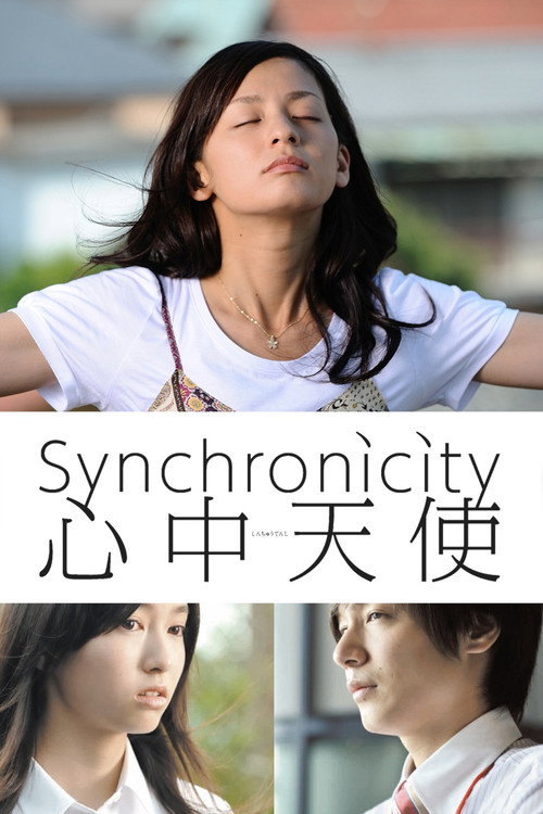 Movie poster for Synchronicity (2011)