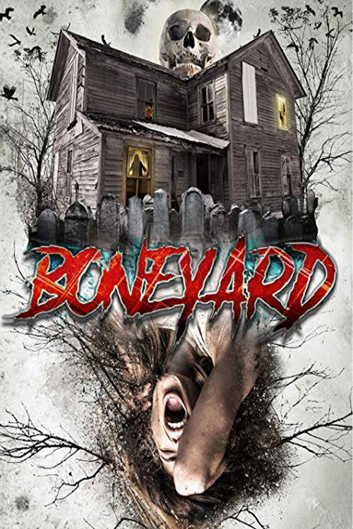 Movie poster for Boneyard (2020)