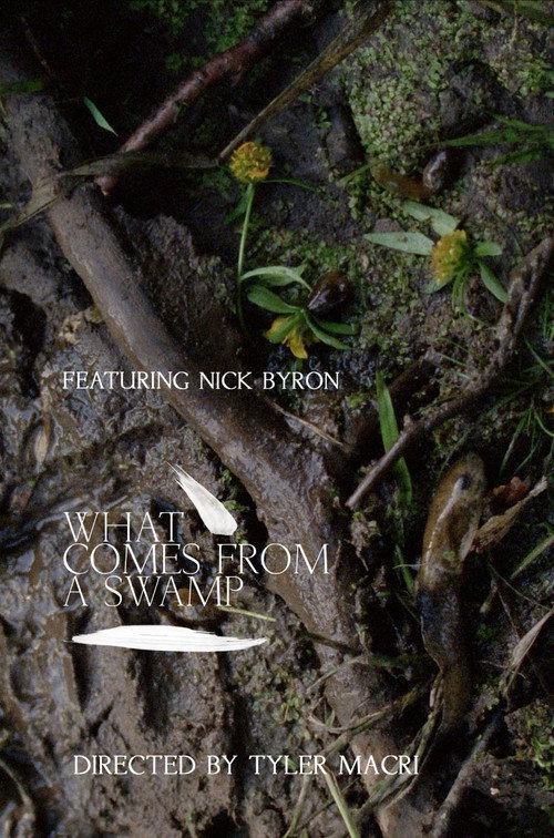 Movie poster for What Comes from a Swamp (2017)