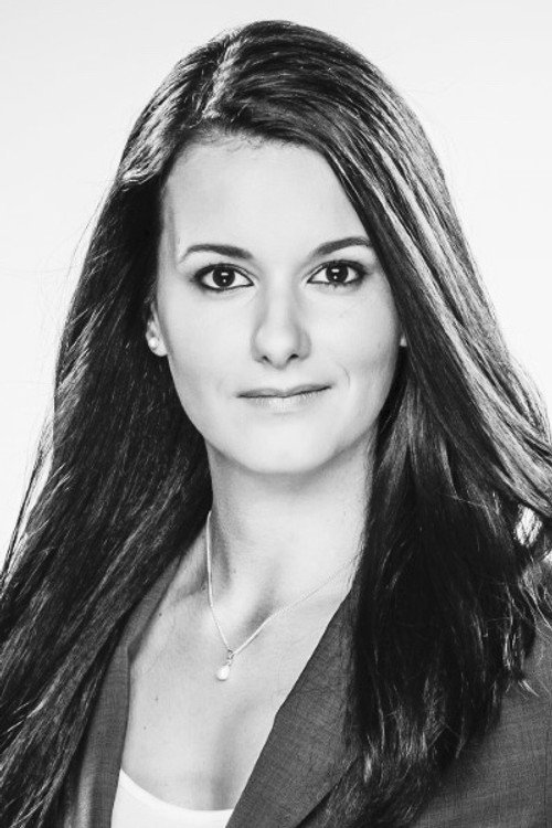 Monic Néron profile