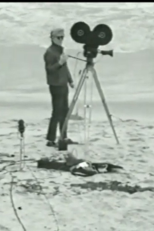 Movie poster for Andy Makes a Movie (1967)