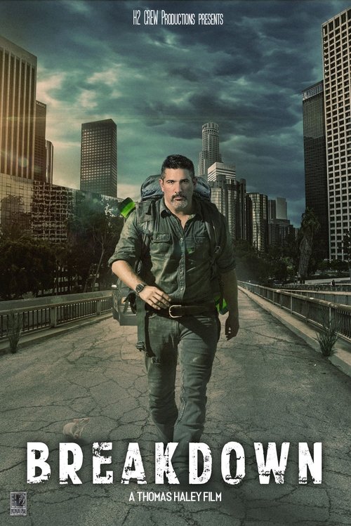 Movie poster for Breakdown (2020)