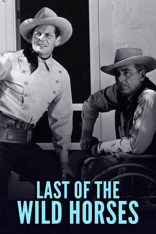 Movie poster for Last of the Wild Horses (1948)