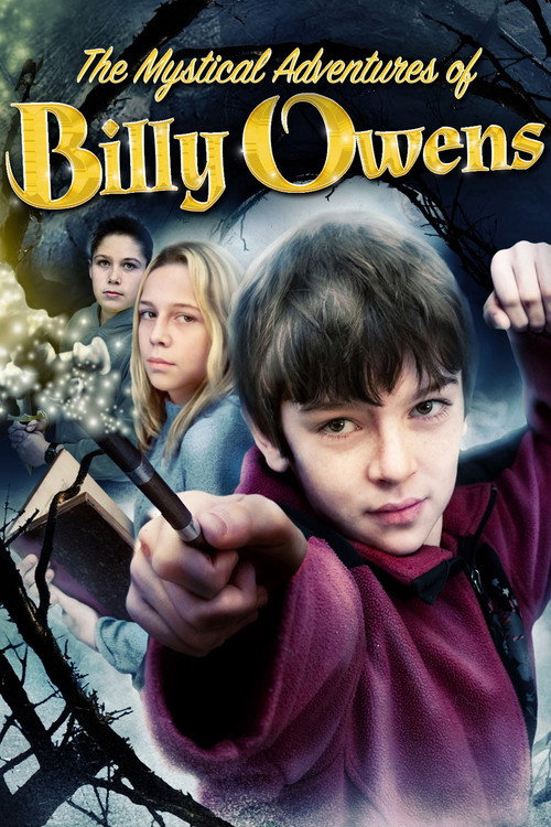 Movie poster for The Mystical Adventures of Billy Owens (2008)