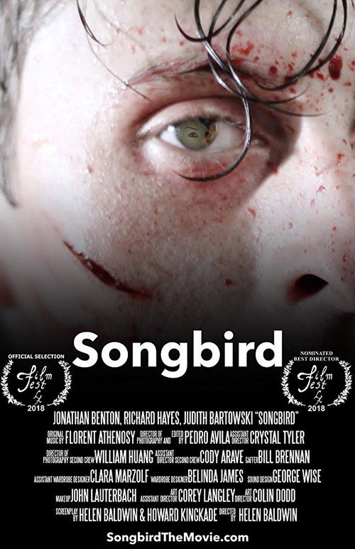 Movie poster for Songbird (2018)