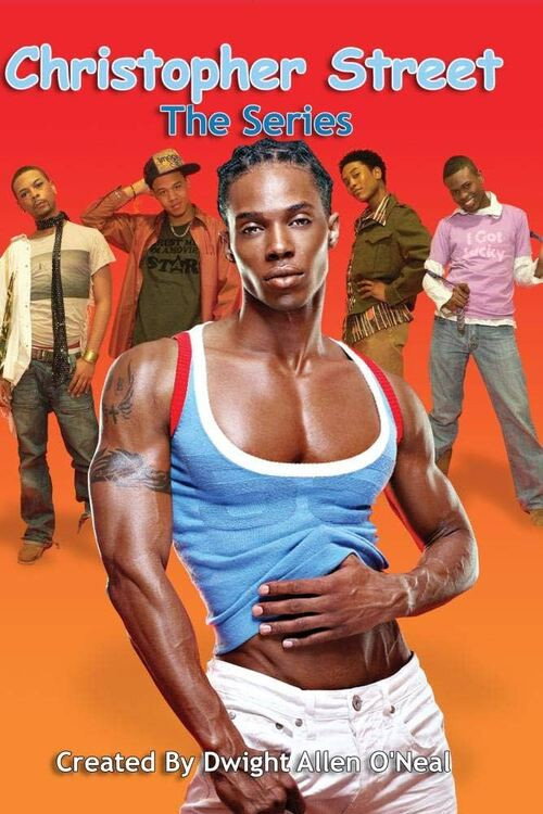 Movie poster for Christopher Street: The Series (2009)