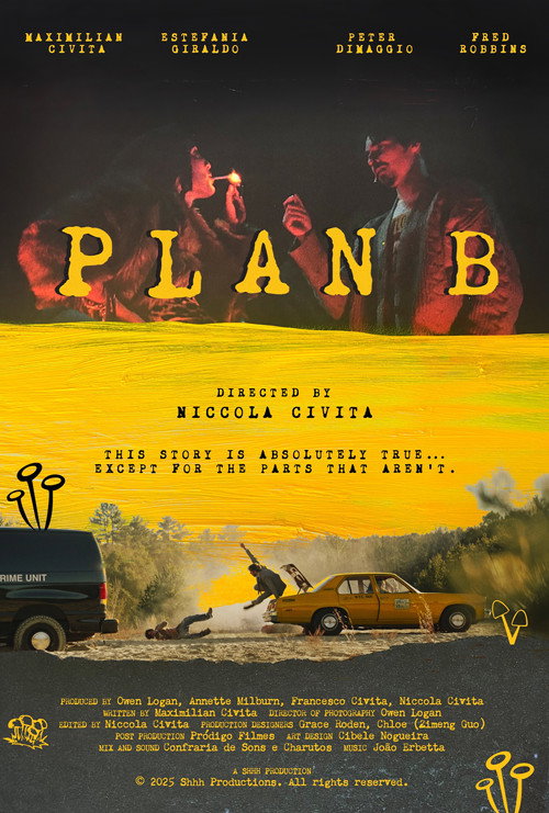 Movie poster for Plan B
