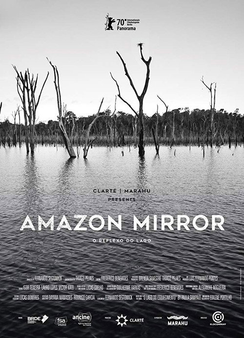Movie poster for Amazon Mirror (2022)