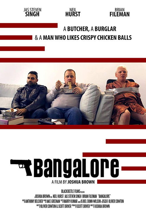 Movie poster for Bangalore (2017)