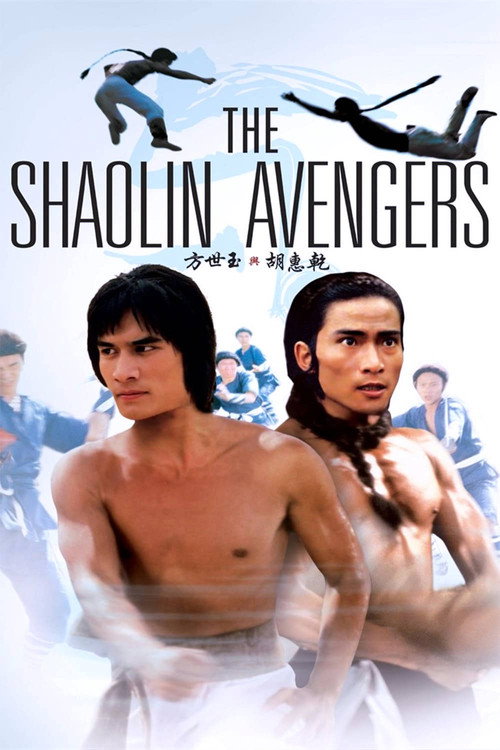 Movie poster for The Shaolin Avengers (1976)