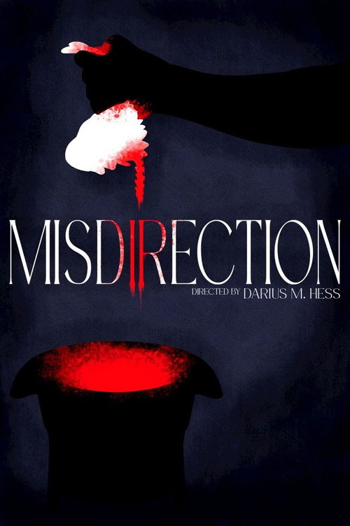 Movie poster for Misdirection (2025)