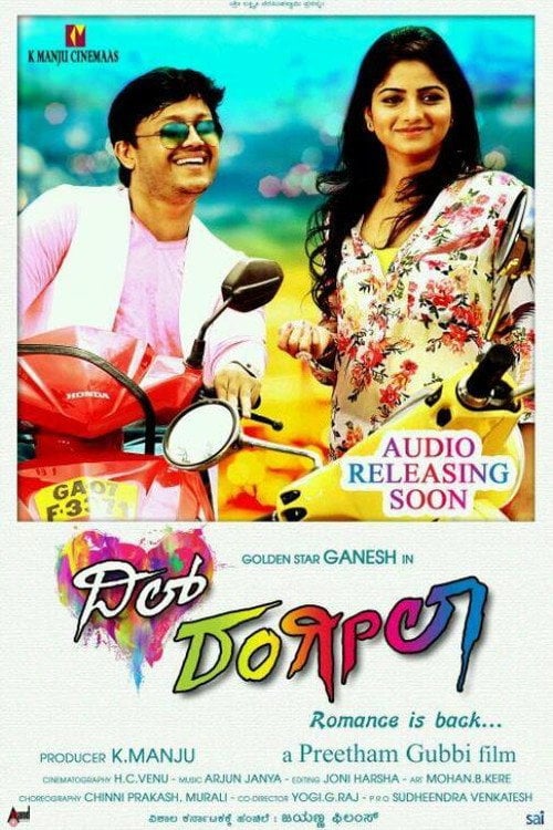 Movie poster for Dil Rangeela (2014)