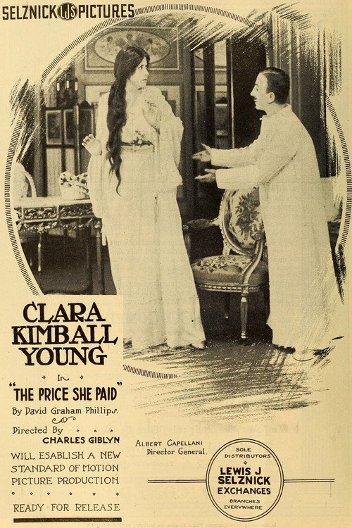 Movie poster for The Price She Paid (1917)