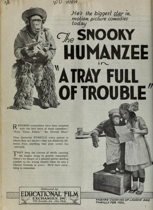 Movie poster for A Tray Full of Trouble (1920)