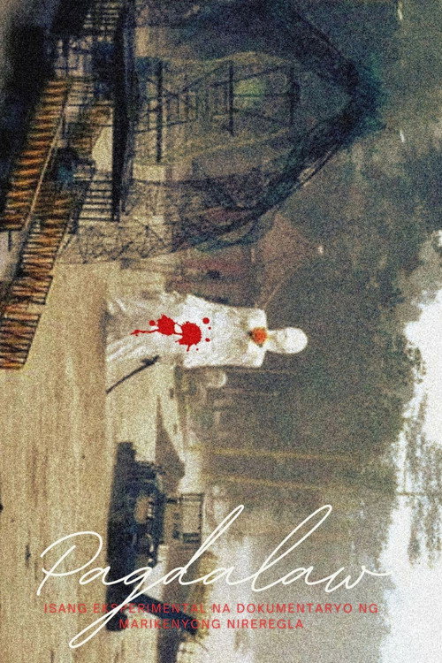 Movie poster for Pagdalaw