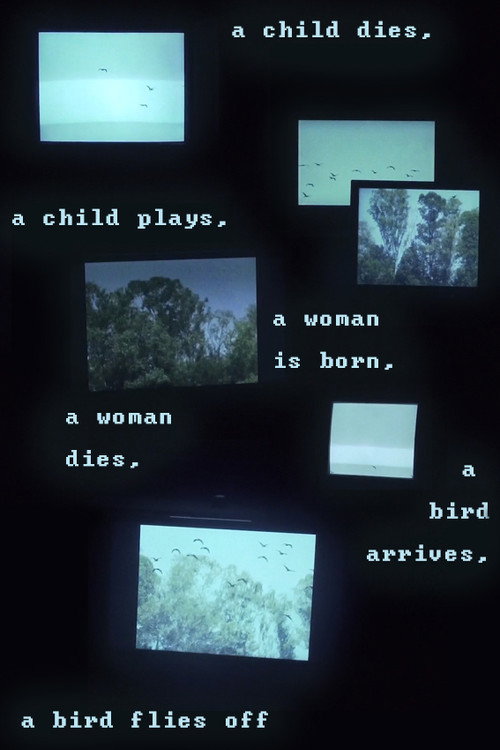 Movie poster for A child dies, a child plays, a woman is born, a woman dies, a bird arrives, a bird flies off (2018)